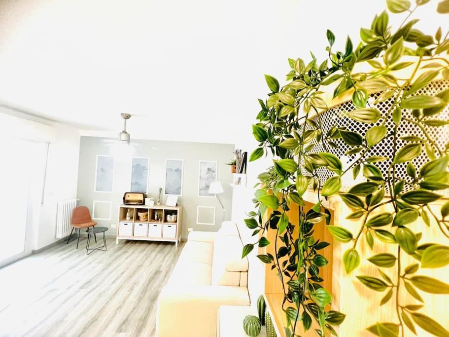 Suite Colibri - Sanremo Centro Exterior foto